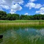 Jezioro Sasek Wielki na Mazurach