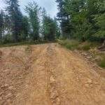 Podejście przez las na żółtym szlaku w Istebnej