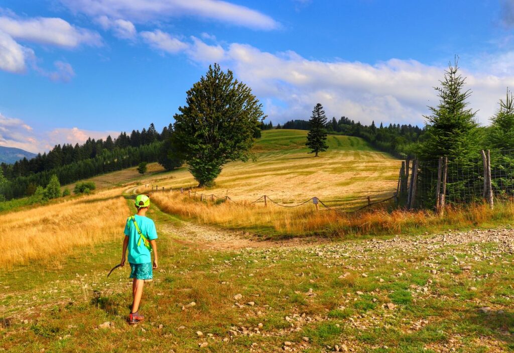 Dziecko, polana na niebieskim szlaku, okolice szczytu Prusów