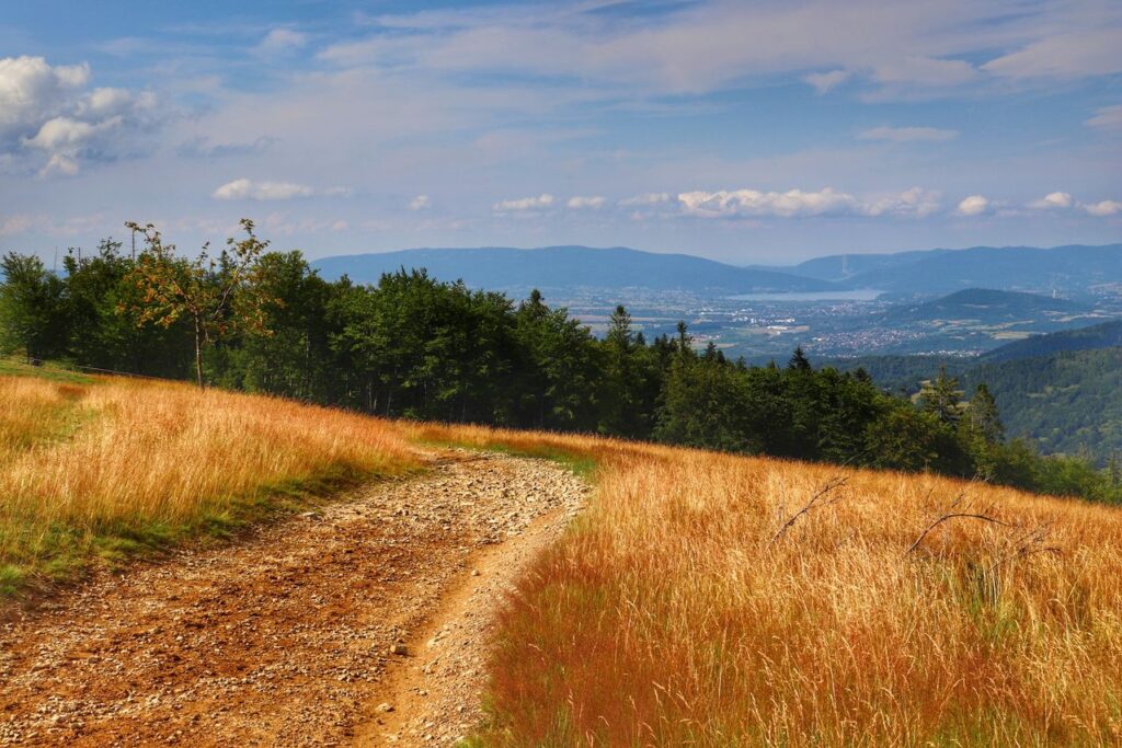 Polana z widokiem na Beskidy okolice góry Prusów