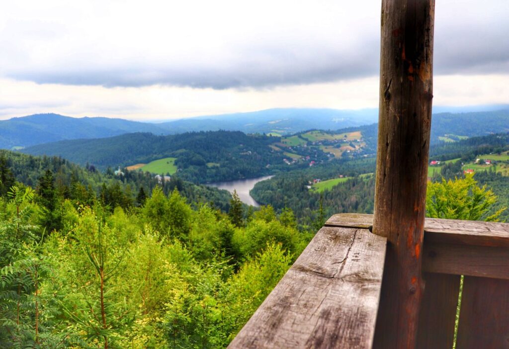 Szarcula, widok z wieży widokowej