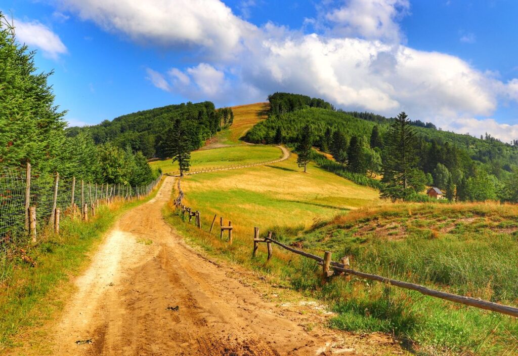 Widok na Halę Borucz w Beskidzie Żywieckim, szlak niebieski