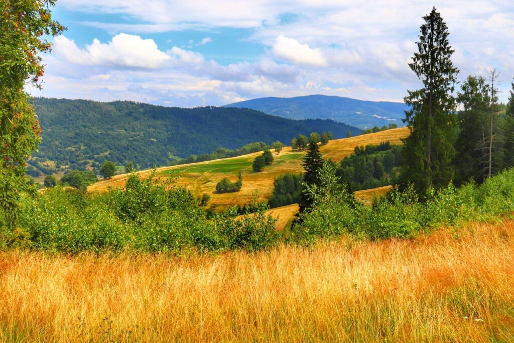 Widok rozciągający się z niebieskiego szlaku w Żabnicy, polana, góry