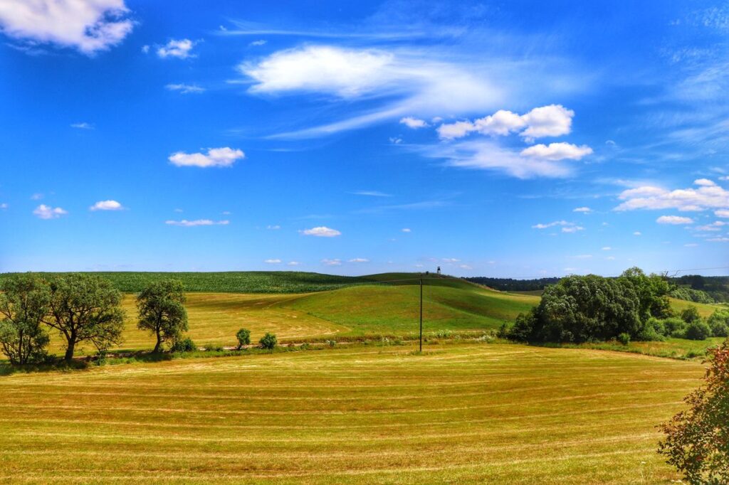 Widok rozciągający się z trasy rowerowej ROWEREM PO KOLEI na Mazurach