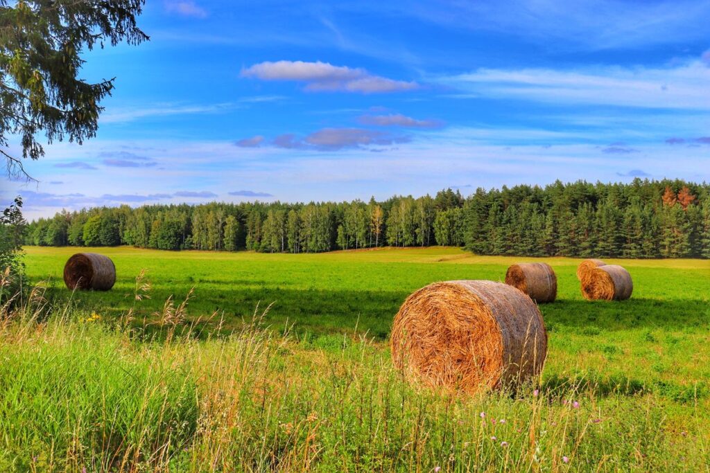 widoki rozciągające się z trasy rowerowej Rowerem po kolei na Mazurach, pole, lato, niebieskie niebo