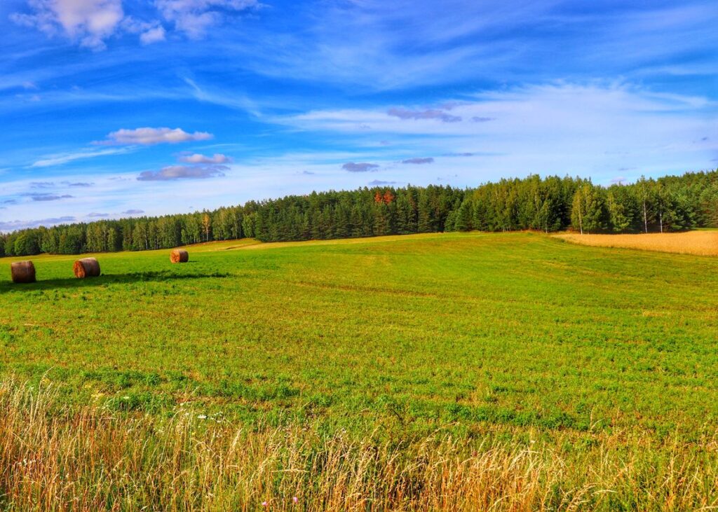 widoki rozciągające się z trasy rowerowej Rowerem po kolei na Mazurach, pole, lato