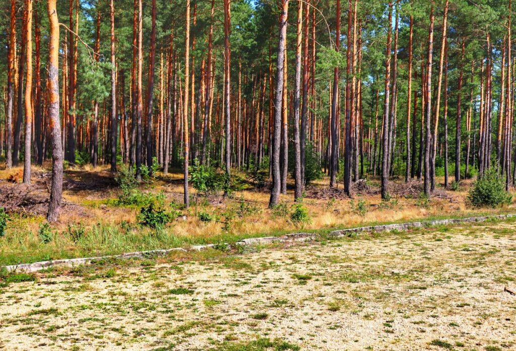 Parking w Mirowie, Jura Krakowsko-Częstochowska