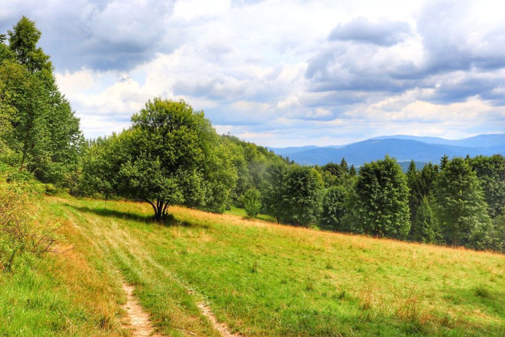 Polana, krajobraz górski, Laliki