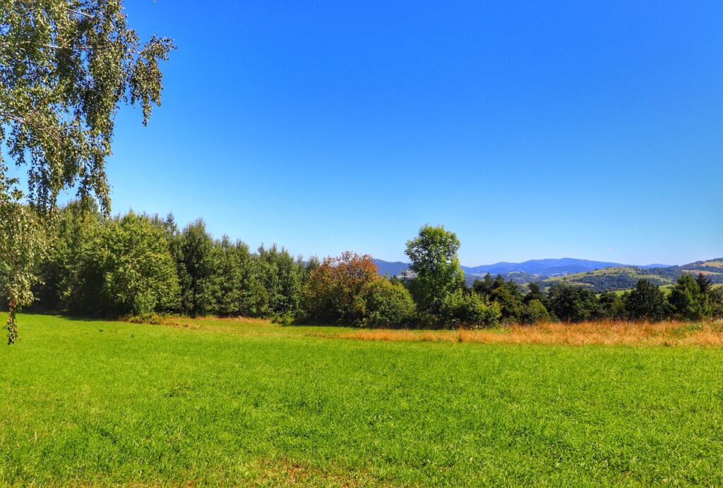 Polana, widok na beskidzkie szczyty, Złote Wierchy - Mszana Dolna