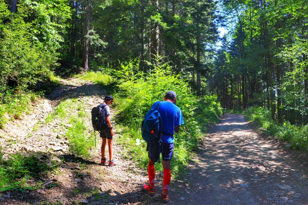 Rozwidlenie na szlaku zielonym na Lubogoszcz z Mszany Dolnej, szlak zielony - skręt w lewo, dziecko z tatą