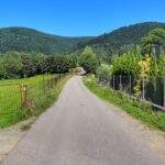 Szeroka i asfaltowa droga na zielonym szlaku na Lubogoszcz, Mszana Dolna