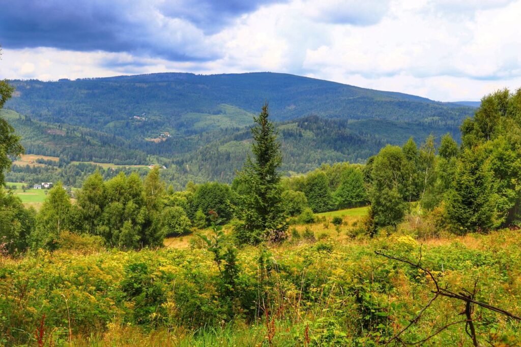 Widok na beskidzkie szczyty, Laliki