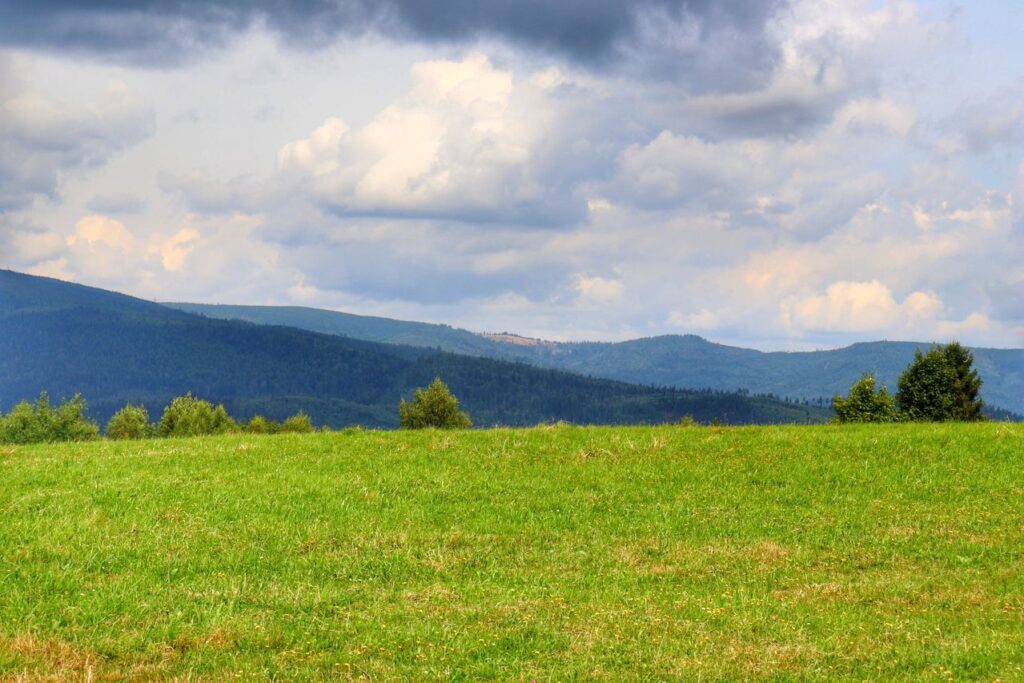 Widok na szczyty Beskidu Śląskiego w tym Rachowiec, polana, wieś Laliki