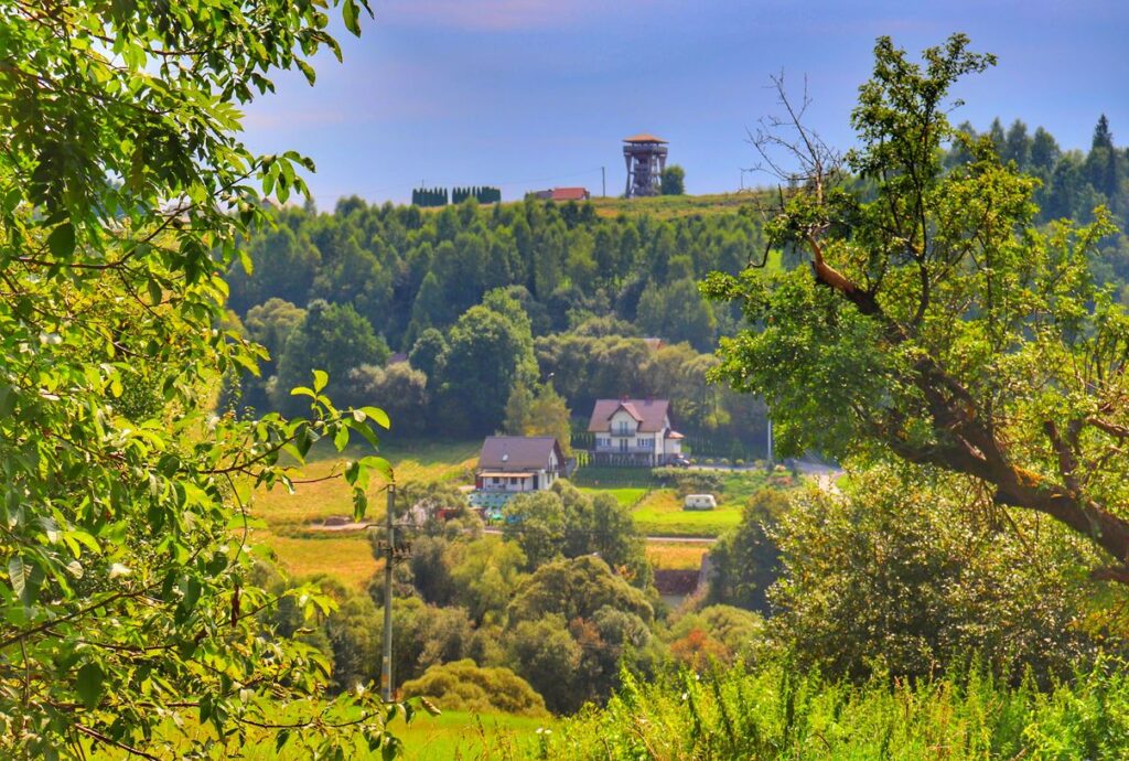 Widok na wieżę widokową na Hajdówce z trasy pieszej - Jordanów