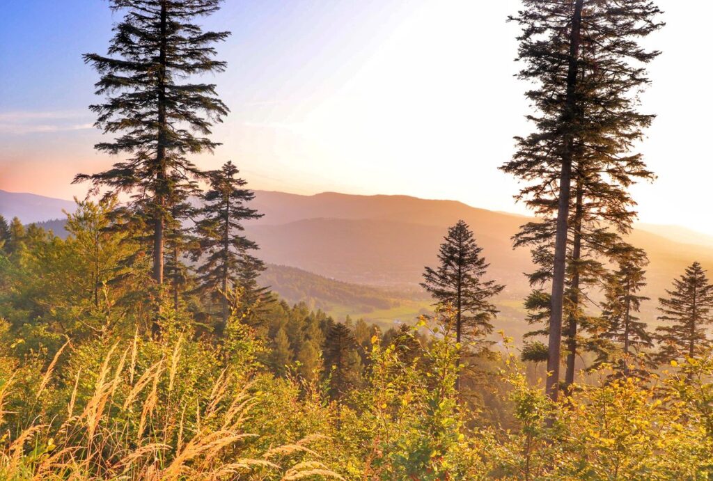 Zachód słońca w górach, szlak czerwony - Beskid Mały