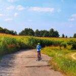 Dziecko na rowerze, droga, pole kukurydzy