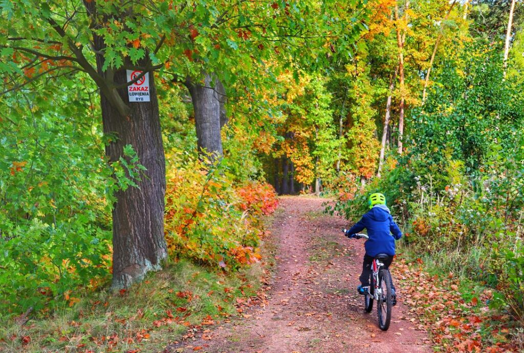 Dziecko na rowerze, jesień, las