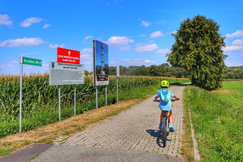 Dziecko na rowerze na zielonym szlaku rowerowym, Chałupki, ścieżka Przyrodnicza Meandry Rzeki Odry