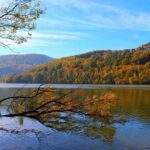 Jesień nad Jeziorem Międzybrodzkim, żaglówka, jesienne liście, niebieskie niebo