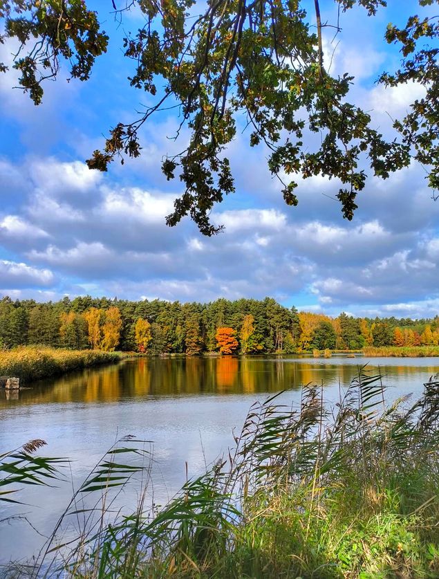 Jesień nad stawem, niebieskie niebo