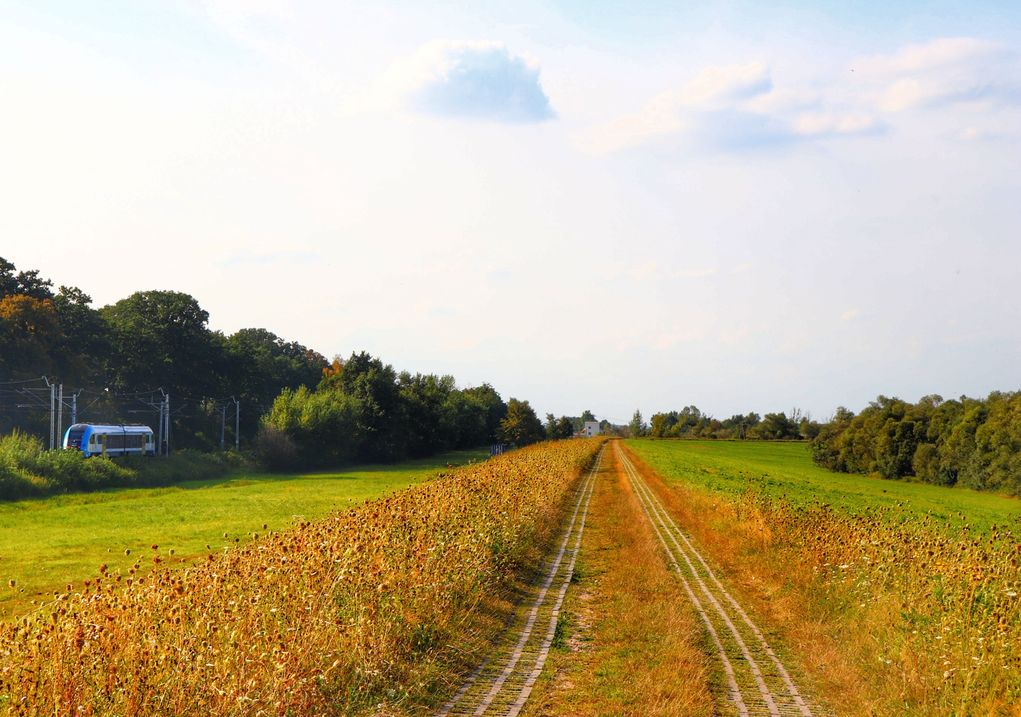 Krzyżanowice, szeroka i brukowana ścieżka