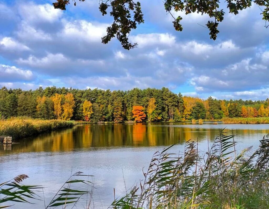 Pojezierze Palowickie, jesień, staw