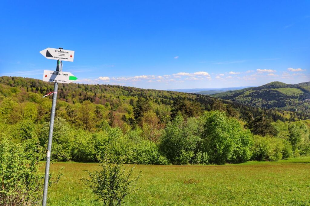 Punkt widokowy na zielonym szlaku, Rymanów Zdrój, polana