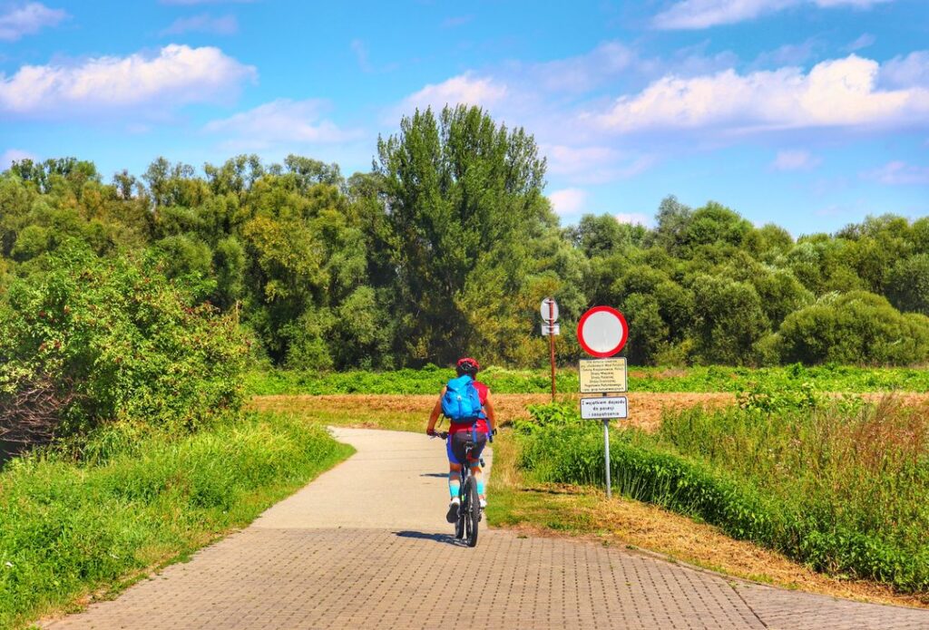 Rowerzysta, Ścieżka Przyrodnicza Meandry Rzeki Odry, piękny, letni dzień