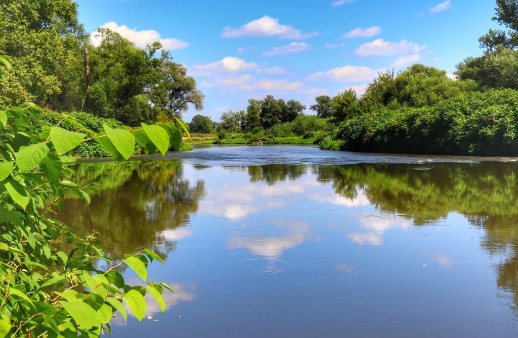 Rzeka Odra, Chałupki