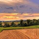 Widok rozciągający się z wieży widokowej przy Granicznych Meandrach Odry o zachodzie słońca