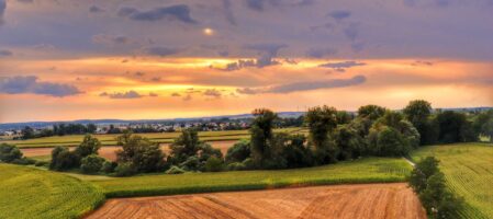 Graniczne Meandry Odry rowerem, wieża widokowa, staw Srebrniok, trasa Chałupki – Krzyżanowice