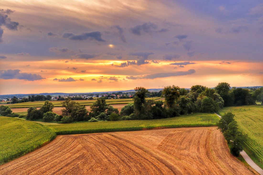 Graniczne Meandry Odry rowerem, wieża widokowa, staw Srebrniok, trasa Chałupki – Krzyżanowice