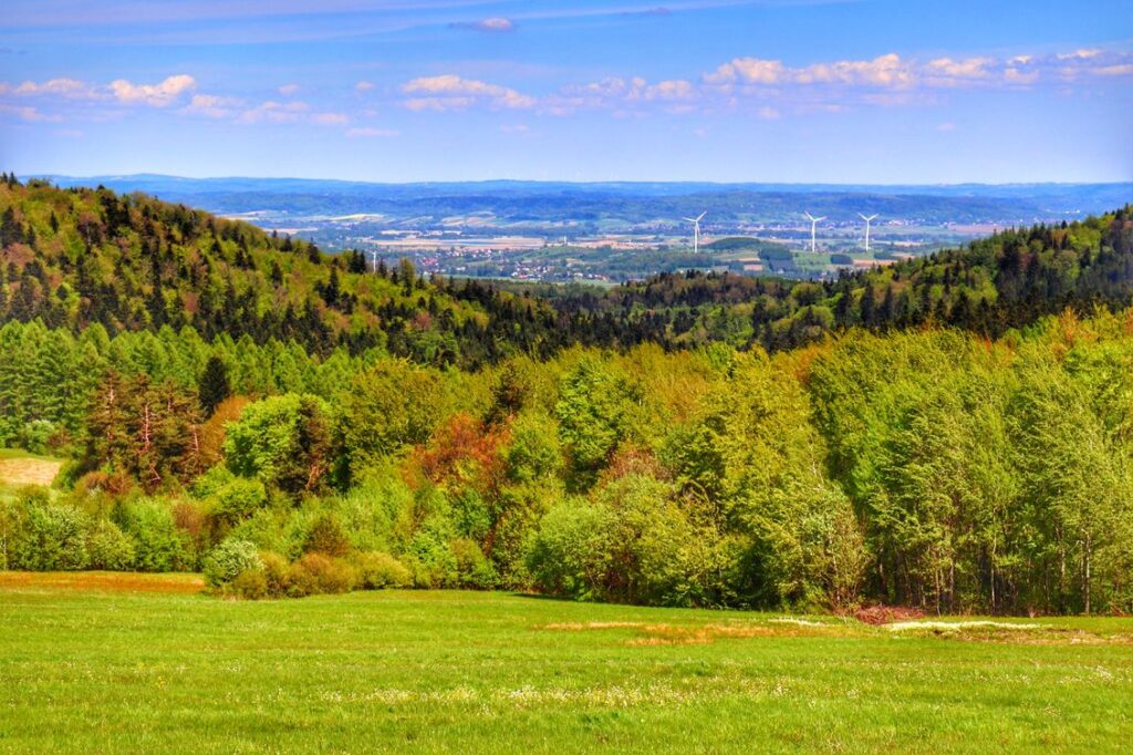 Widoki rozciągające się ze szlaku zielonego - Rymanów Zdrój, polana