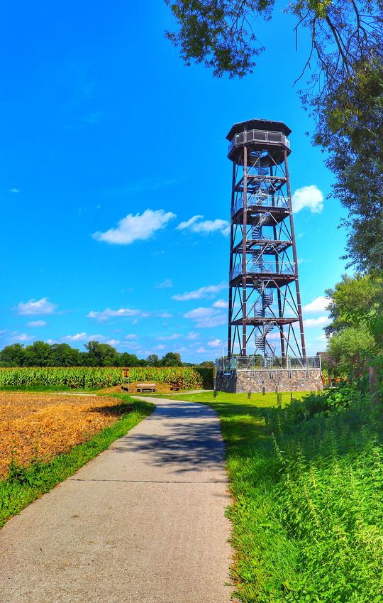 Wieża widokowa przy Granicznych Meandrach Odry, Chałupki, niebieskie niebo