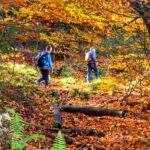 Dzieci, jesień w Beskidzie Śląskim, las, szlak niebieski Brenna