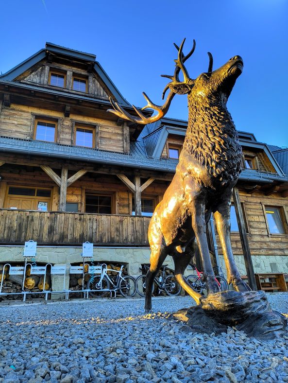 Figurka jelenia, schronisko na Łysej Górze w Czechach