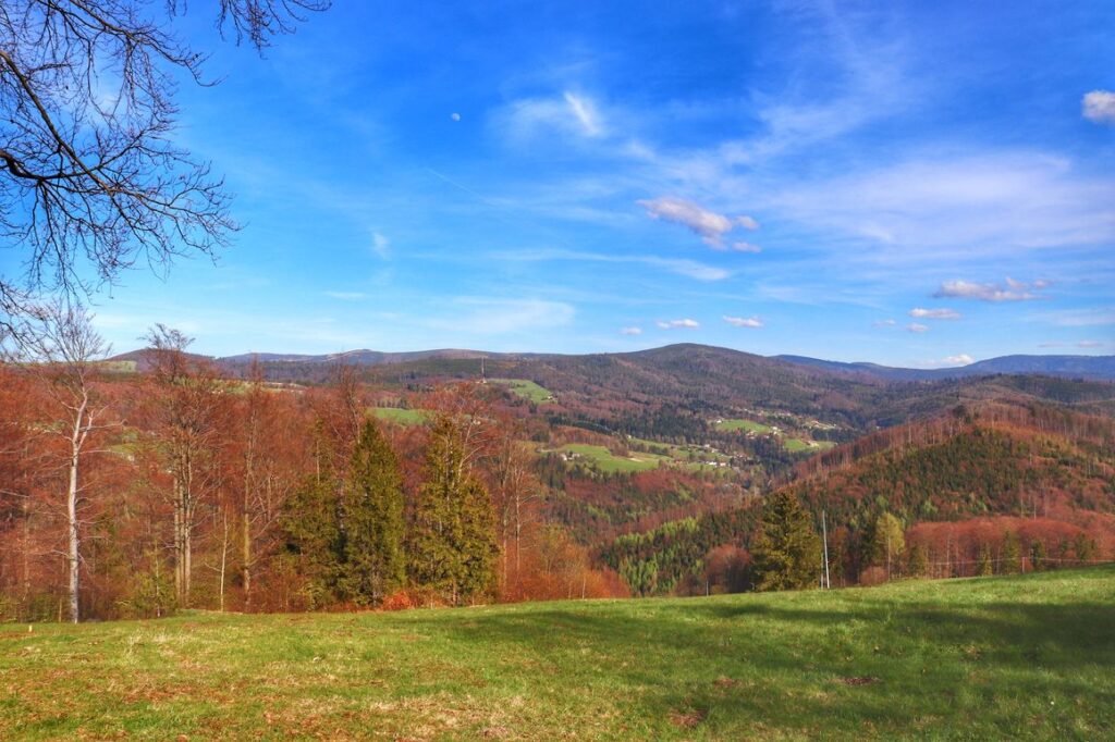 Widok ze Świniorki w Brennej