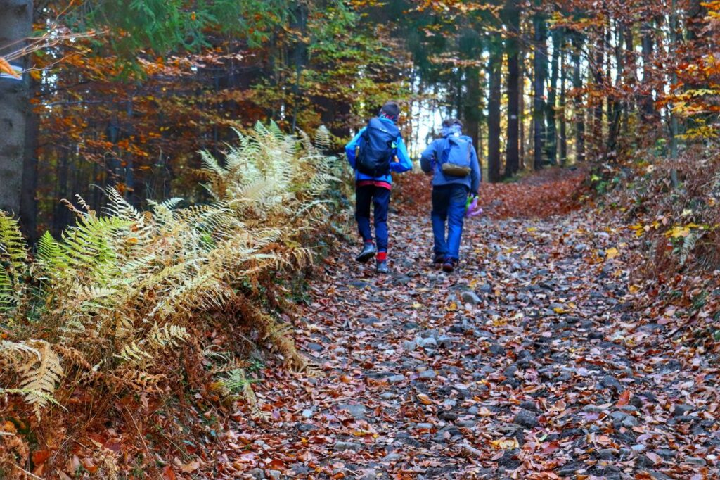 Dzieci, jesień w Beskidach, pnąca się w górę, kamienista droga leśna