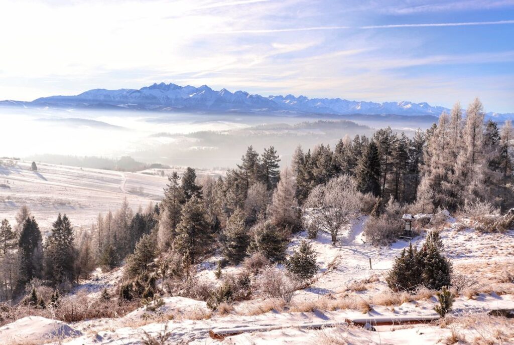 Góra Wdżar w Pieninach, punkt widokowy na Tatry, zima