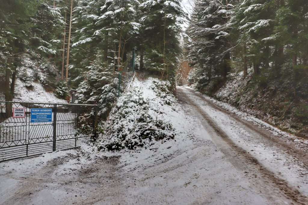 Szeroka droga leśna, Słotwina w gminie Lipowa, śnieg