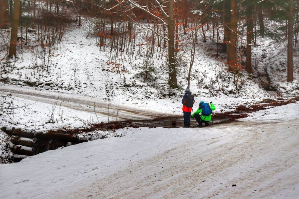 Turysta z dzieckiem, las, śnieg