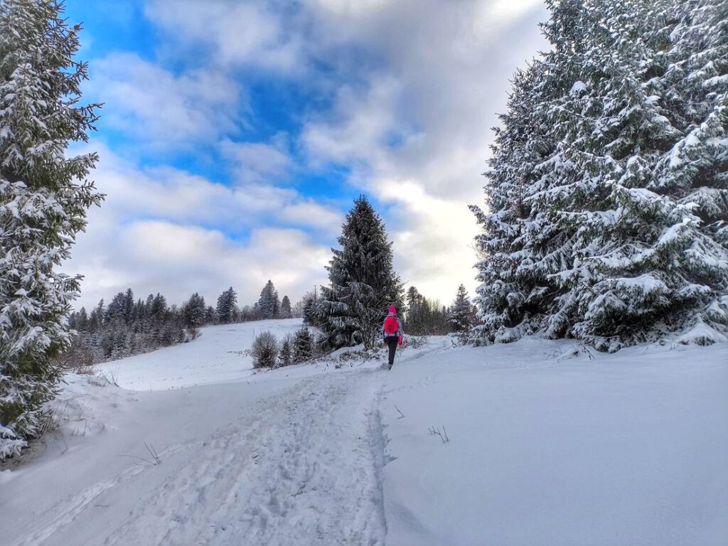 Turystka na czerwony, szlaku na Rachowiec, zima, zaśnieżona polana