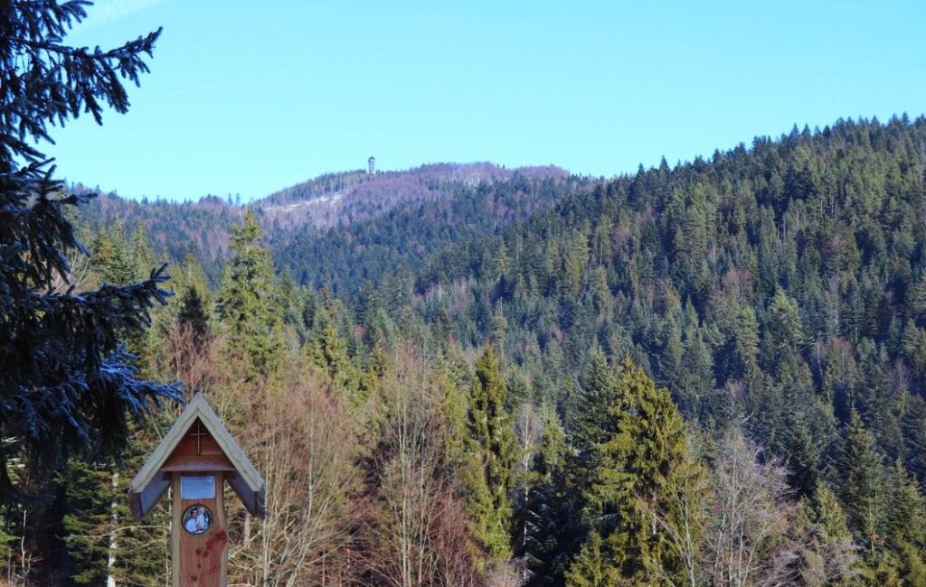 Widok na Luboń ze szlaku niebieskiego