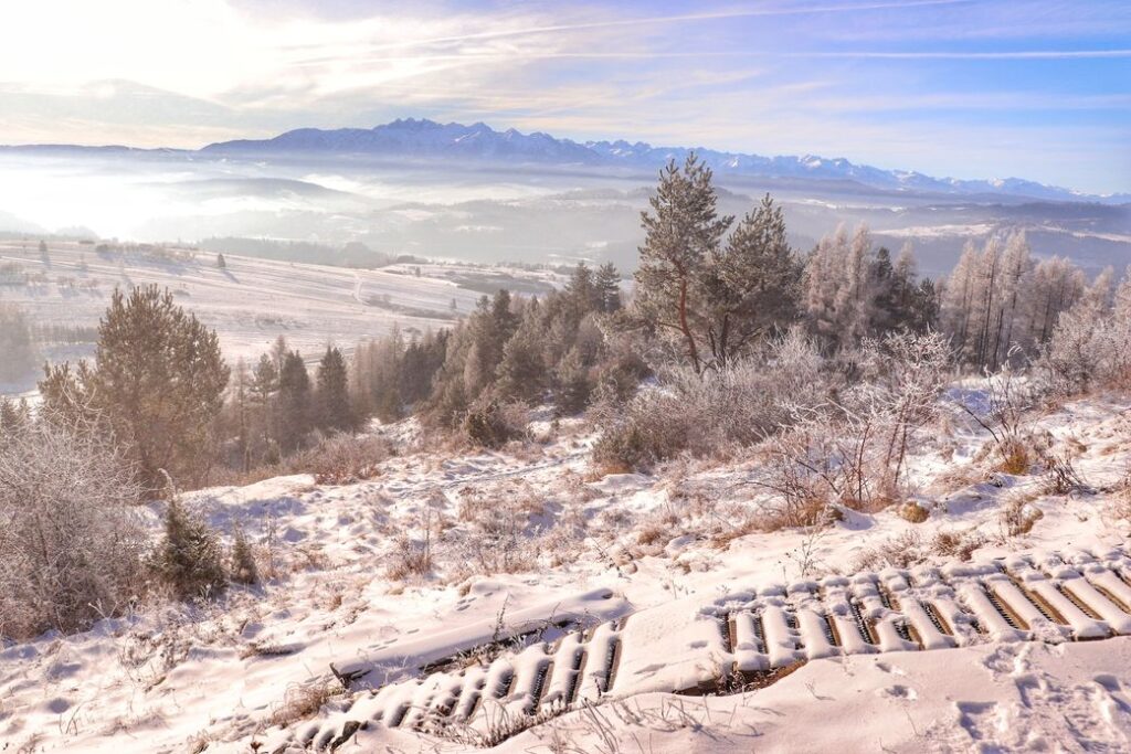 Widok na Tatry, zima, Pieniny, góra Wdżar