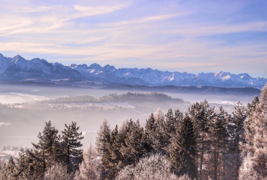 Widok rozciągający się na Tatry z góry Wdżar w Pieninach, zima