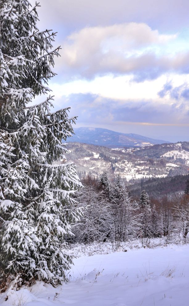 Widok ze szlaku czerwonego na Rachowiec, góry, zima