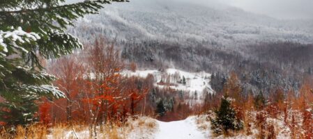 Palenica Beskid Śląski – trasa ze Słotwiny