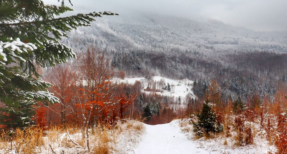 Palenica Beskid Śląski – trasa ze Słotwiny