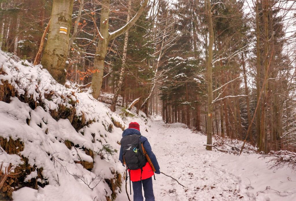 Dziecko, strome podejście, las, śnieg, szlak żółty - Ropička