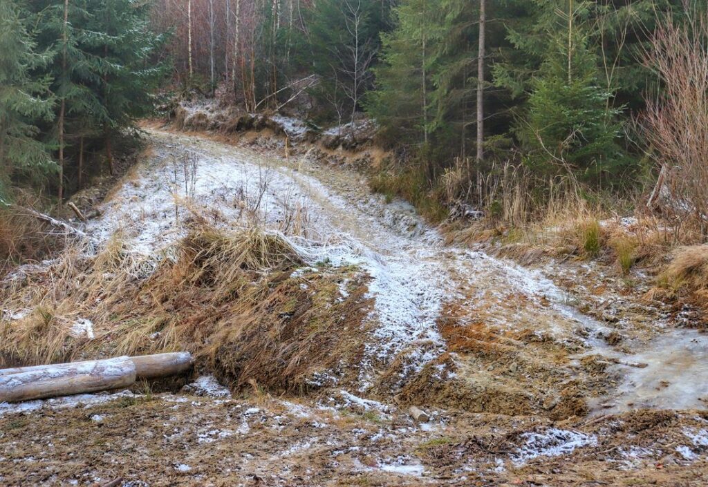 Jaworzynka - szlak niebieski, leśna i szeroka droga